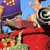 roseparade_6258