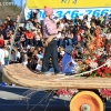 roseparade_6269