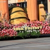 roseparade_6304