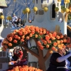 roseparade_6418