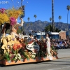 roseparade_6431