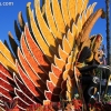 roseparade_6441