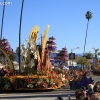 roseparade_6448