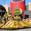 roseparade_6467