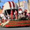 roseparade_6562