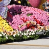 roseparade_6826