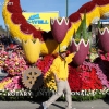 roseparade_6832