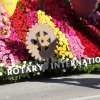 roseparade_6833