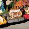 roseparade_6921