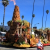 roseparade_6936