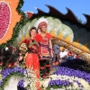 roseparade_6980