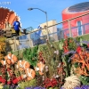 roseparade_7024