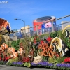 roseparade_7025