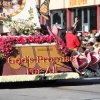 roseparade_7078