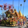 roseparade_7222