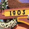 roseparade_7238