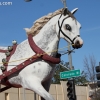 roseparade_7291