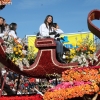 roseparade_7295