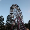 rides_6672