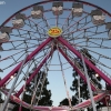 rides_6743