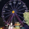 rides_6931