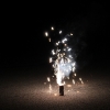 fireworks_3075