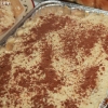 tiramisu_3329