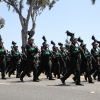 parade_1415