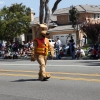 parade_2157