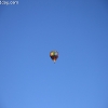 balloonfiesta_8071