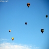 balloonfiesta_8079