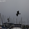 redondobeach_3725