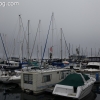 redondobeach_3728