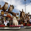 2013roseparade_7828