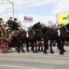 2013roseparade_7963