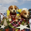 2013roseparade_8124