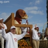 2013roseparade_8128