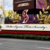 2013roseparade_8191