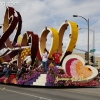 2013roseparade_8216