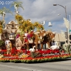 2013roseparade_8399