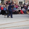 2013roseparade_8497