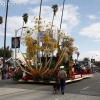 2013roseparade_8498