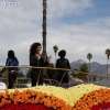 2013roseparade_8926