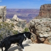 grandcanyon_7956