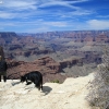 grandcanyon_7957