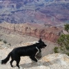 grandcanyon_8010