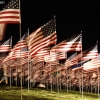 911flags_6570