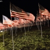 911flags_6581
