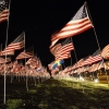 911flags_6582