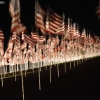 911flags_6598